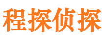 成武市调查公司